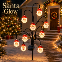 Santa Face Lights